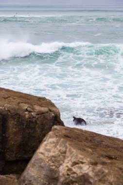 surfes bulutlu günde ile Atlantik kıyı şeridi