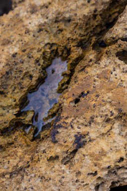 Su birikintisi üzerinden Atlantik kıyı şeridi ile portre taş