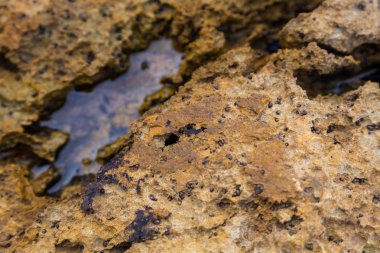 Su birikintisi üzerinden Atlantik kıyı şeridi ile portre taş