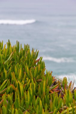 surfes bulutlu günde ile Atlantik kıyı şeridi
