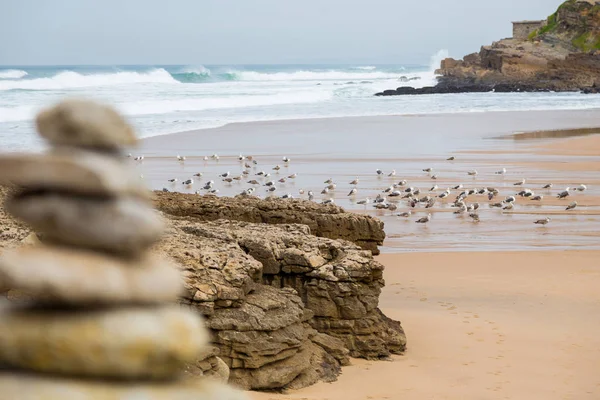Atlantik Sahili surfs bulutlu gün ile