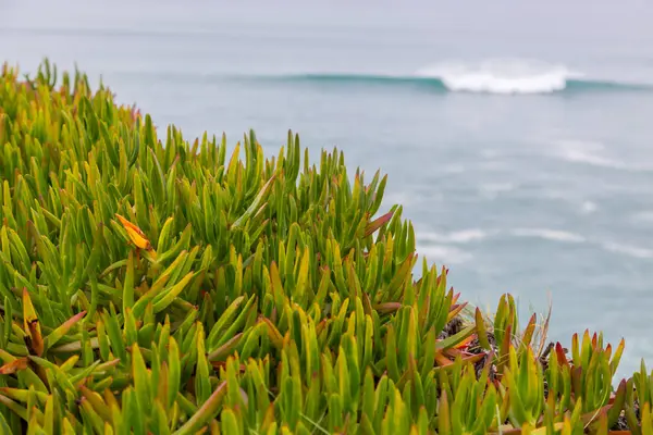 Litoral atlântico com surfes em dia nublado — Fotografia de Stock