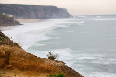 taşlar, bitkiler ve bulutlu gün içinde dolaşır sahil şeridine
