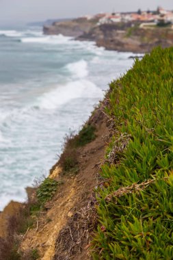 taşlar, bitkiler ve bulutlu gün içinde dolaşır sahil şeridine