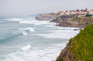 taşlar, bitkiler ve bulutlu gün içinde dolaşır sahil şeridine