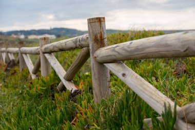 ahşap fance ve bitkiler manzara sahil şeridine