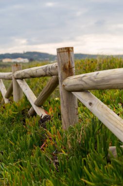 ahşap fance ve bitkiler manzara sahil şeridine