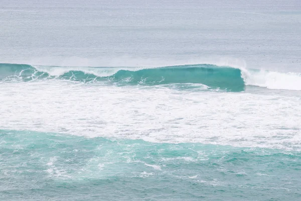 Litoral com pedras, plantas e surfes em dia nublado — Fotografia de Stock