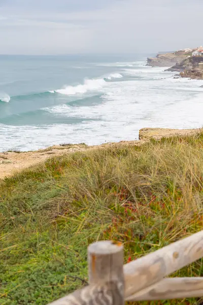 ahşap fance ve bitkiler manzara sahil şeridine