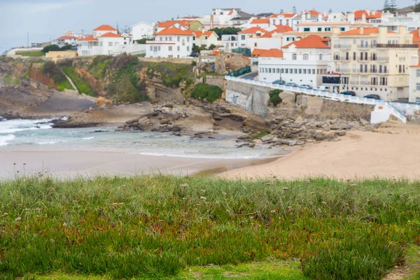 taşlar, bitkiler ve bulutlu gün içinde dolaşır sahil şeridine