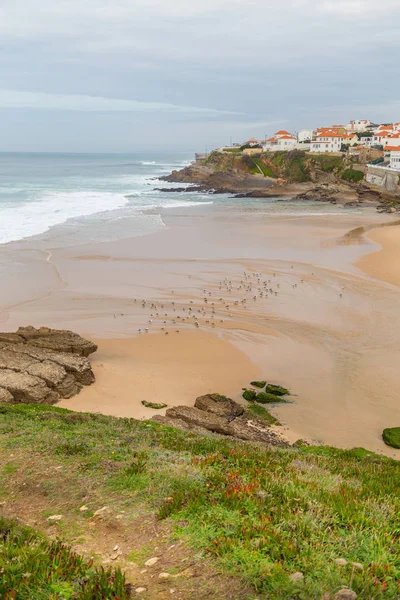 taşlar, bitkiler ve bulutlu gün içinde dolaşır sahil şeridine