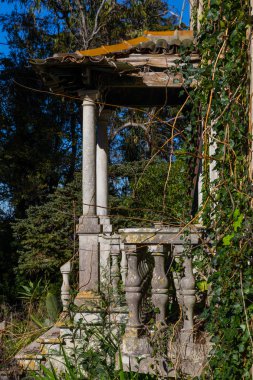 abandonded eski ev bitkileri ile