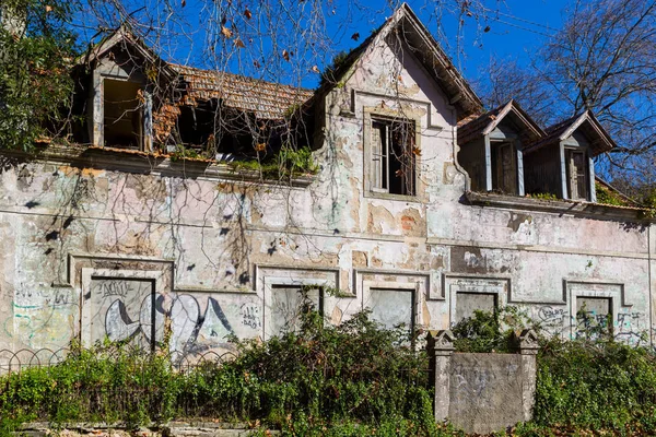 Заброшенный старый дом с растениями — стоковое фото