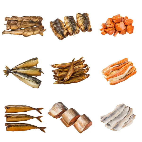 Set of a different preserved fish — Stock Photo, Image