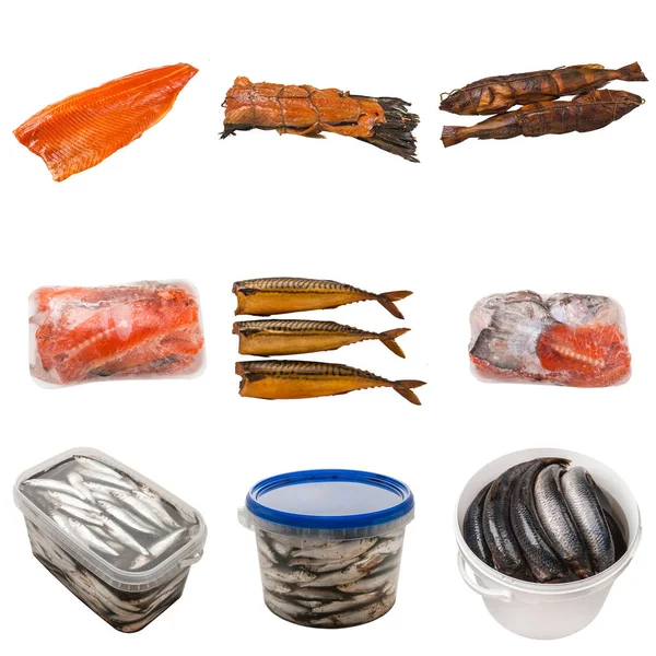 Set of a different preserved fish — Stock Photo, Image