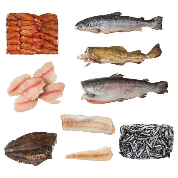 Készlet egy különböző fagyasztott hal — Stock Fotó