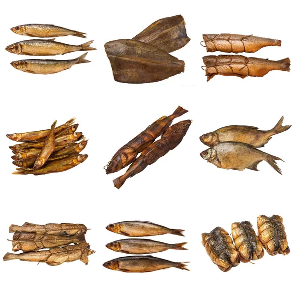 Zbiór różnych konserwowanych ryb — Zdjęcie stockowe