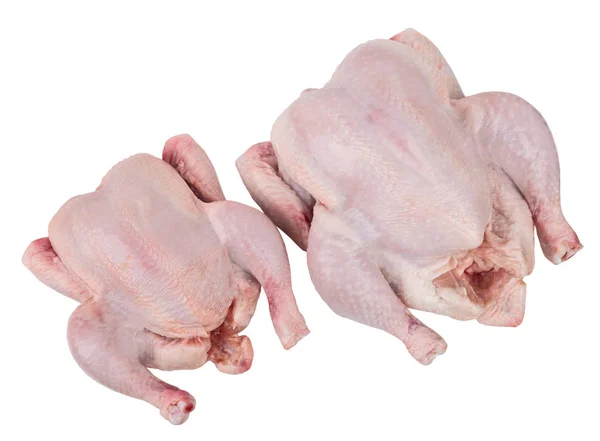 Deux poulets crus isolés en blanc — Photo