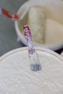 beyaz boya ve resim için fırça ile yapabilirsiniz kapak
