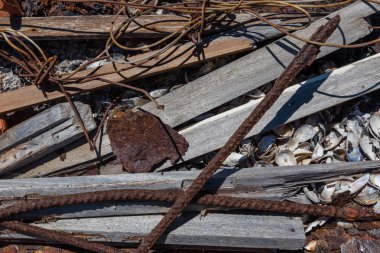 metal, ahşap, şenlik ateşi üzerinde kabukları ile çöp