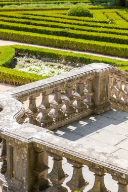 çim bitkileri ile düzgün Park düz çizgiler 