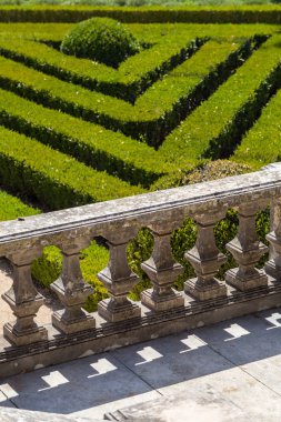 çim bitkileri ile düzgün Park düz çizgiler 