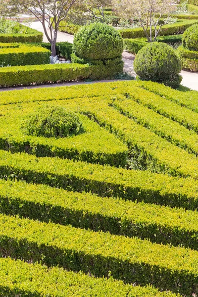 çim bitkileri ile düzgün Park düz çizgiler 