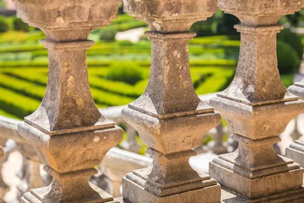 çim bitkileri ile düzgün Park düz çizgiler 