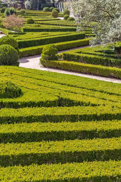 çim bitkileri ile düzgün Park düz çizgiler 