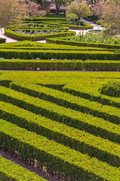 çim bitkileri ile düzgün Park düz çizgiler 