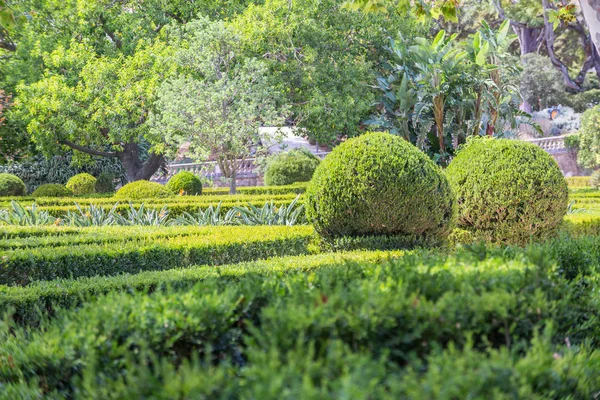 Nette Park met topiary planten vloeiende lijnen Rechtenvrije Stockafbeeldingen
