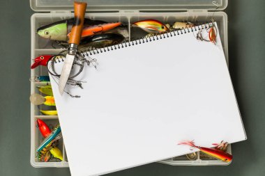 büyük defter ile Balık tutma ele renk kağıt arka plan üzerinde