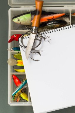 büyük defter ile Balık tutma ele renk kağıt arka plan üzerinde