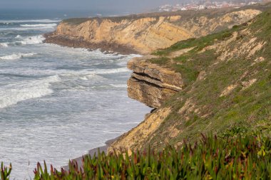 Çimenli okyanus kıyısı, köpüklü hareketli dalgalar. Rüzgar gücü. Turkuaz su. 