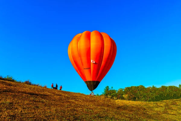 Singha Park International Balloon Festival 2018 Chiang Rai Thailand Feb — Stockfoto