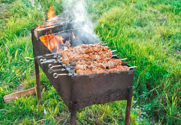 Shish kebab is fried on coals — Stock Photo, Image