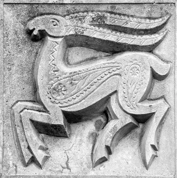 Cerf de Virginie, bas-relief — Photo