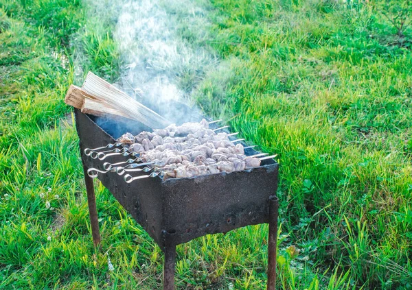 Shish kebab is gebakken op kolen — Stockfoto