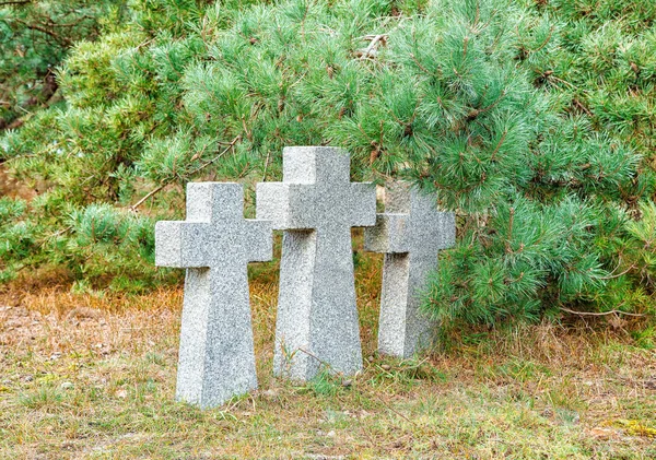 Três cruzes de pedra no velho cemitério — Fotografia de Stock