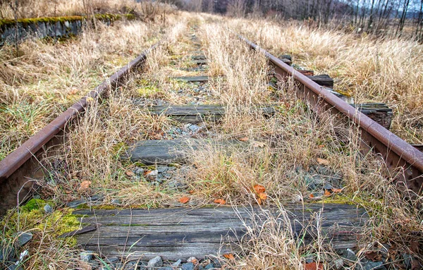 오래 된 버려진된 철도 — 스톡 사진