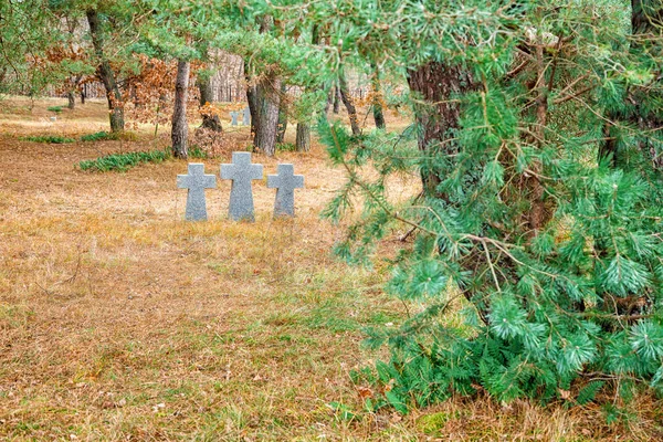 Drie stenen kruisen op het oude kerkhof — Stockfoto