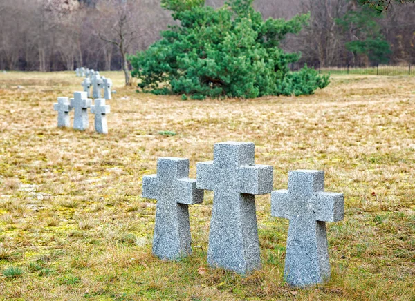 Cruzes de pedra no velho cemitério — Fotografia de Stock