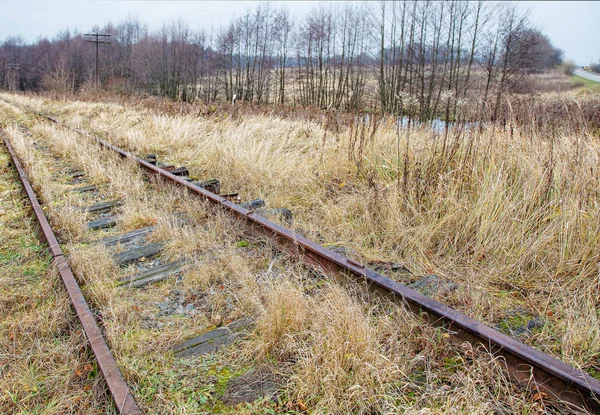 Заброшенная железная дорога — стоковое фото