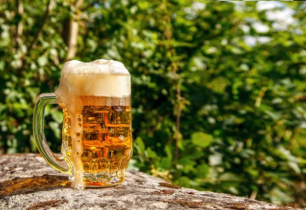 Szkło kubek z piwem stoi na duży kamień — Zdjęcie stockowe