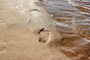 ıslak kumdaki Beach