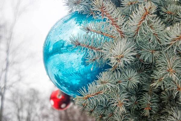 Twee Kerstmis bals op de kerstboom — Stockfoto