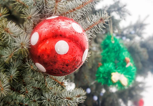 Boule de Noël rouge sur l'arbre de Noël — Photo