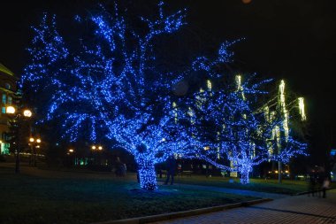 tatil için dekore edilmiş ağaçlar