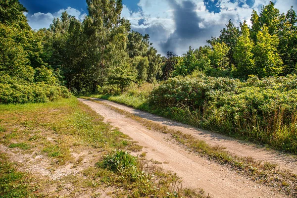 Vecchia strada sterrata nel campo — Foto Stock