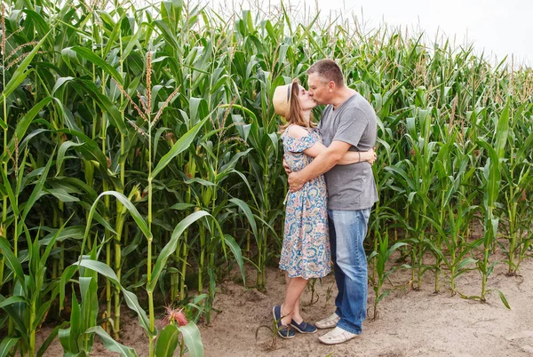 トウモロコシ畑でキスする恋人のペア — ストック写真